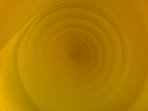 技术入门指南：从零开始学技术